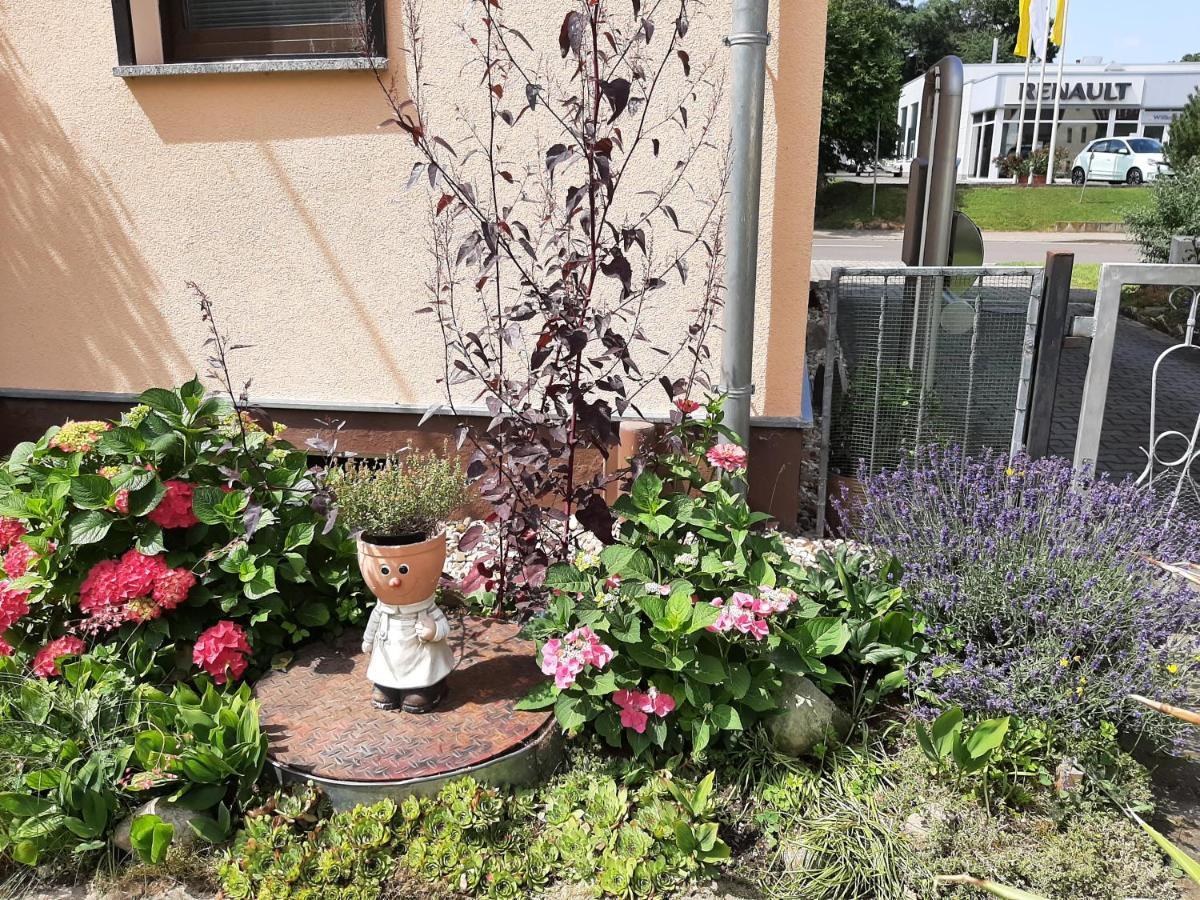 Ferienwohnung Am Park Pegau 外观 照片